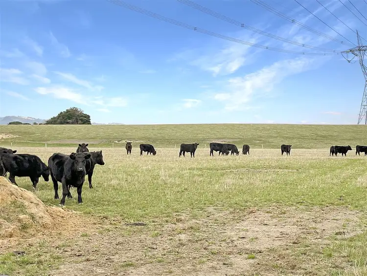 Sixth view of Homely rural property listing, 260 Church Road, Hazelwood North VIC 3840