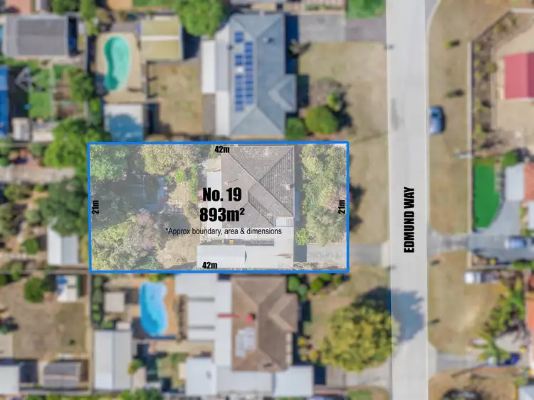 Main view of Homely house listing, 19 Edmund Way, Calista WA 6167