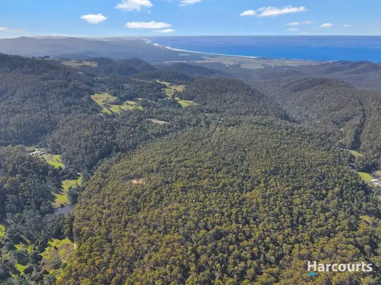 Main view of Homely rural property listing, 204 Richardson Road, St Marys TAS 7215