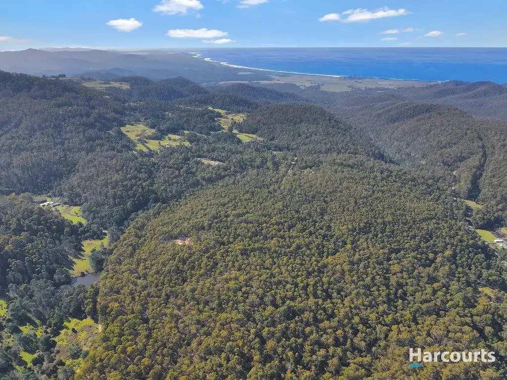 Main view of Homely rural property listing, 204 Richardson Road, St Marys TAS 7215