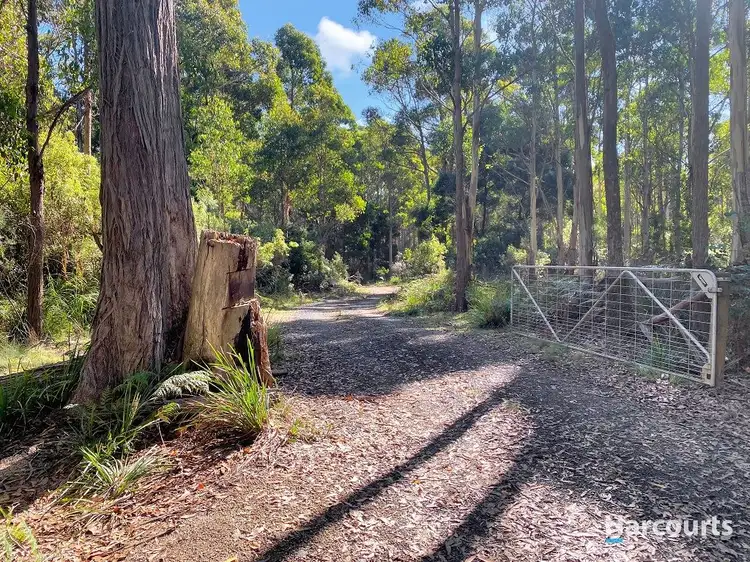 Second view of Homely rural property listing, 204 Richardson Road, St Marys TAS 7215