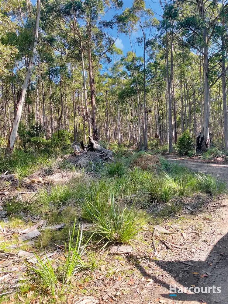 Third view of Homely rural property listing, 204 Richardson Road, St Marys TAS 7215