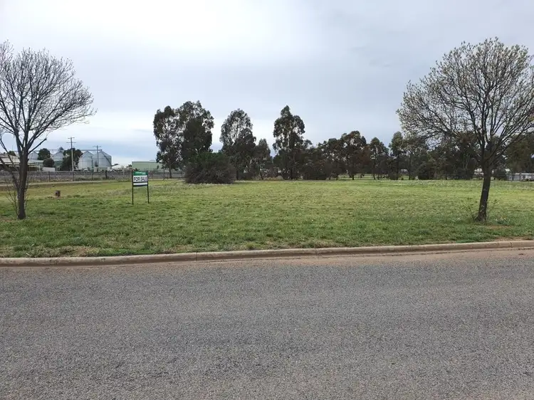 22 Alfred Street, Donald VIC 3480