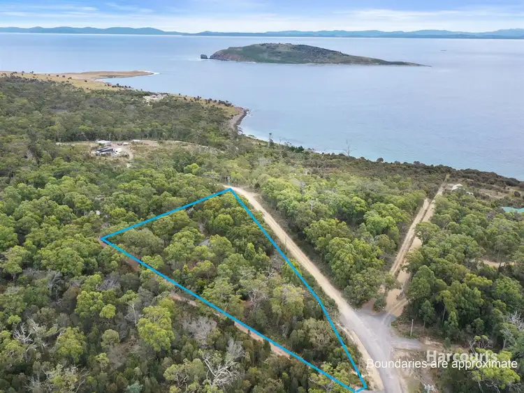 95 Skeggs Avenue, White Beach TAS 7184