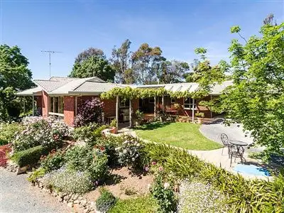 Main view of Homely house listing, 405 Checker Hill Road, Forreston SA