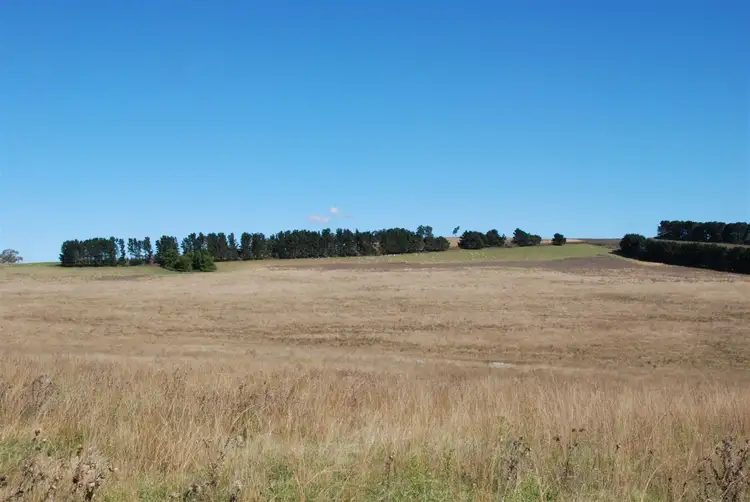 Third view of Homely rural property listing, Address available on request