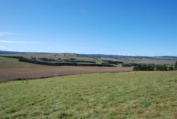 Fourth view of Homely rural property listing, Address available on request