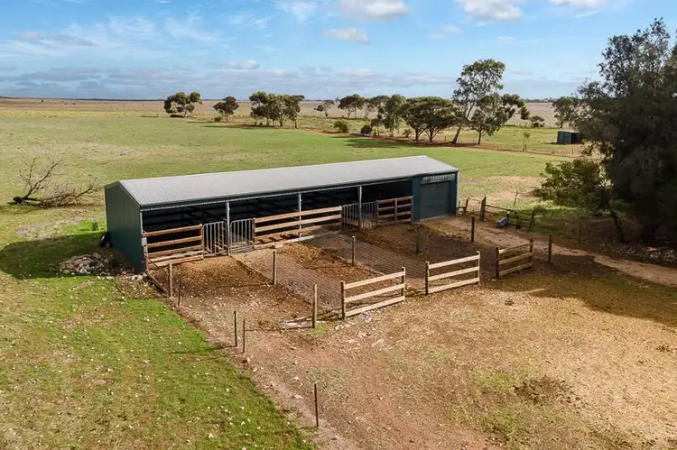 Fifth view of Homely rural property listing, 380 Blackett Road, Tailem Bend SA 5260