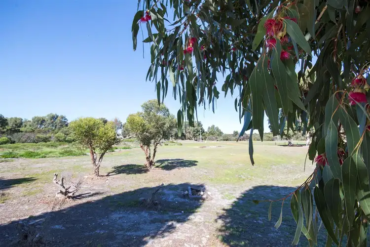 Sixth view of Homely rural property listing, Lot 89 Dunkley Circuit, Pink Lake WA 6450