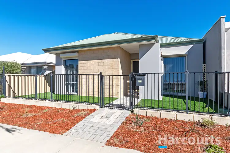 Main view of Homely house listing, 239 Camborne Parkway, Butler WA 6036