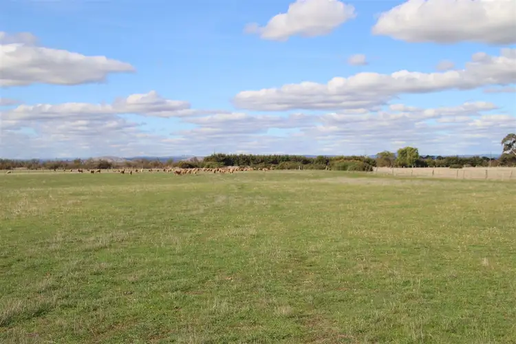 Fifth view of Homely rural property listing, 534 Edmonston Road, Weatherboard VIC 3352