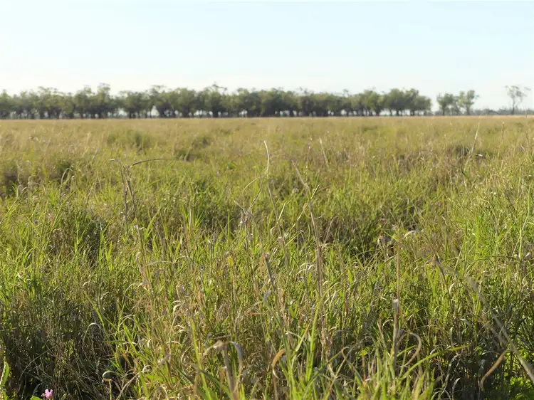Carbean Mitchell Highway, Cunnamulla QLD 4490