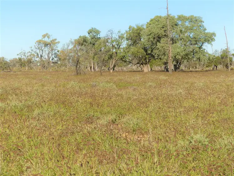 Second view of Homely rural property listing, Carbean Mitchell Highway, Cunnamulla QLD 4490
