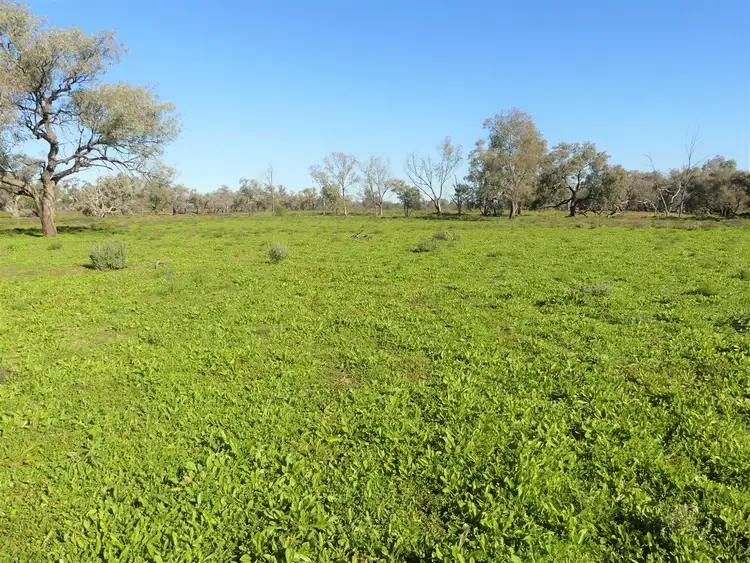 Third view of Homely rural property listing, Carbean Mitchell Highway, Cunnamulla QLD 4490