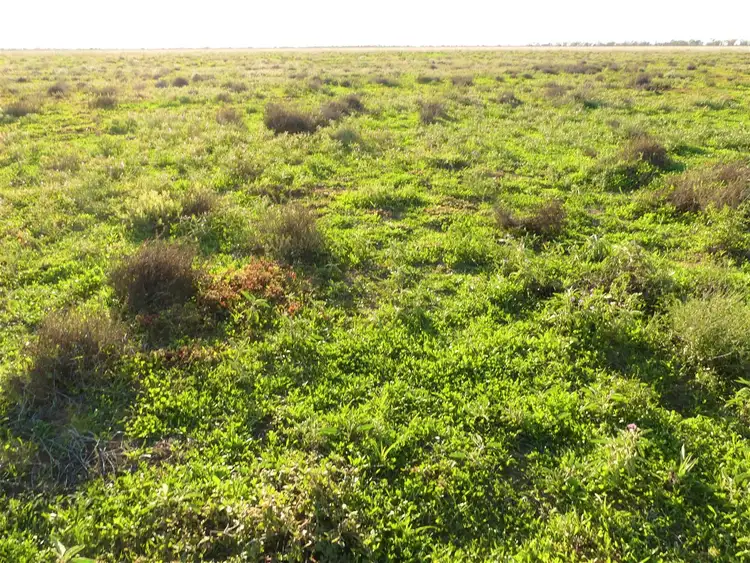 Fourth view of Homely rural property listing, Carbean Mitchell Highway, Cunnamulla QLD 4490