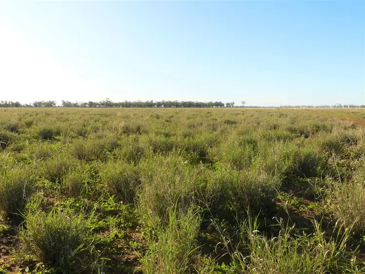 Fifth view of Homely rural property listing, Carbean Mitchell Highway, Cunnamulla QLD 4490