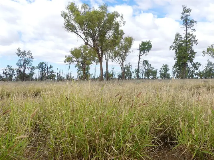 Sixth view of Homely rural property listing, Carbean Mitchell Highway, Cunnamulla QLD 4490