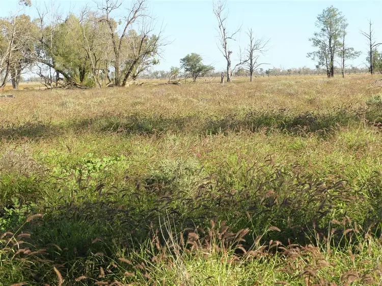 Seventh view of Homely rural property listing, Carbean Mitchell Highway, Cunnamulla QLD 4490