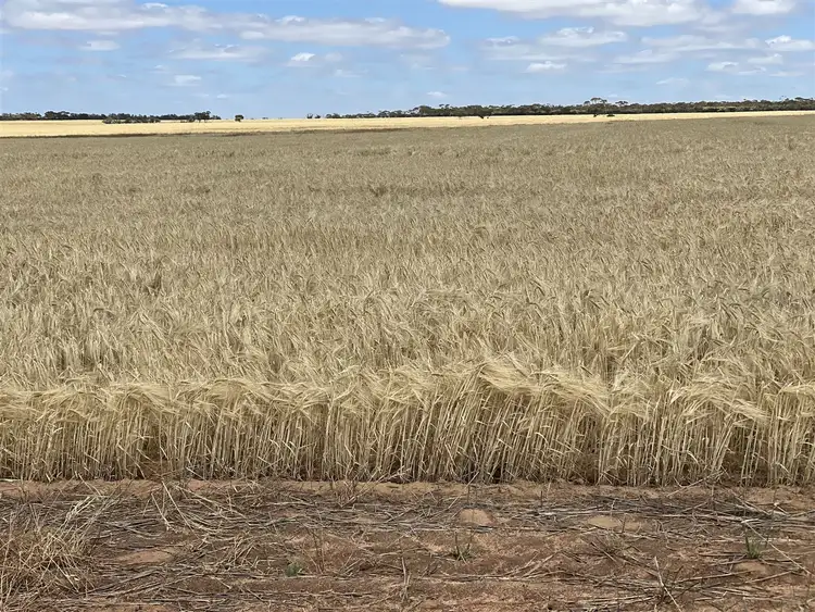 Third view of Homely rural property listing, Address available on request