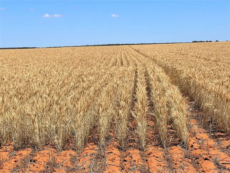 Fifth view of Homely rural property listing, Address available on request