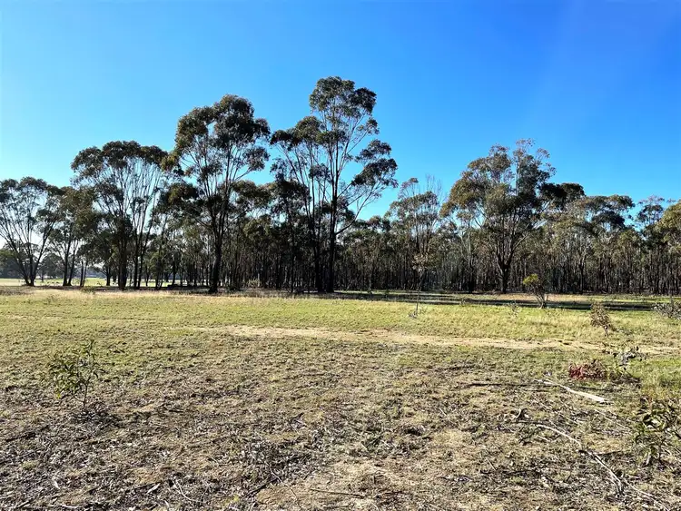 Seventh view of Homely rural property listing, Lot 13 QUEEN MARY ROAD, St Arnaud VIC 3478