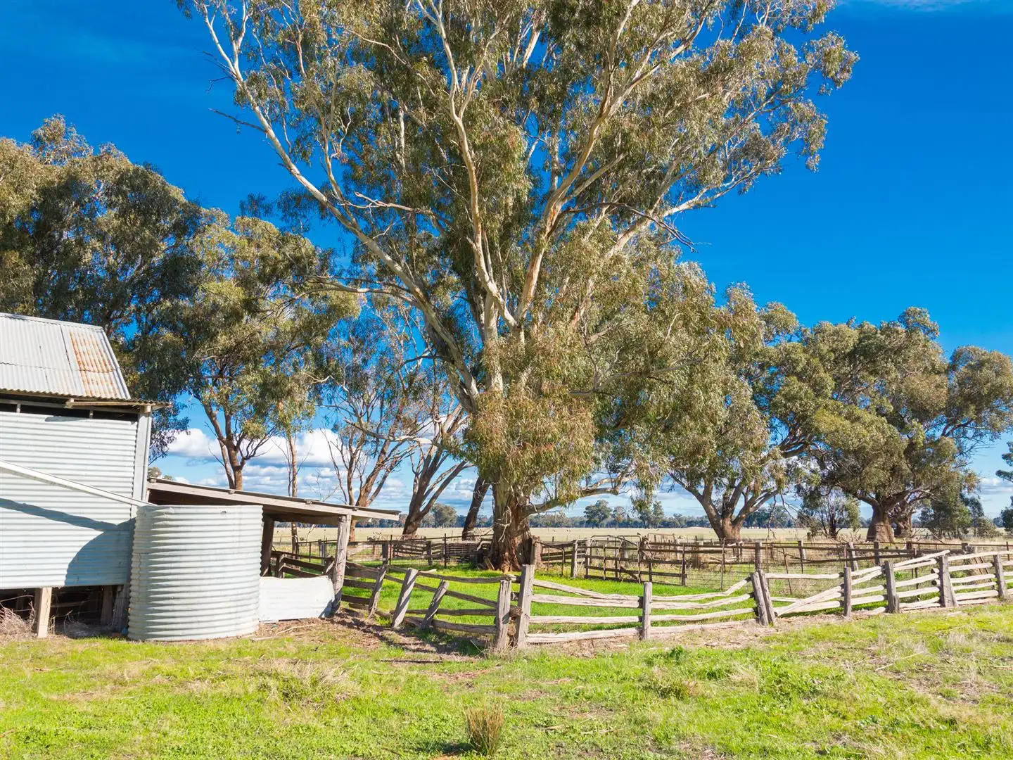 Main view of Homely rural property listing, 2098 Arcadia Two Chain Road, Euroa VIC 3666