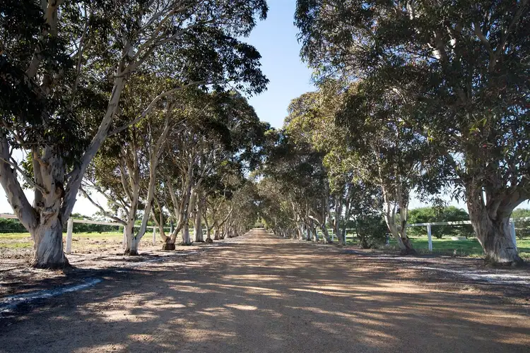 Seventh view of Homely rural property listing, 281 Paterson Road, Monjingup WA 6450