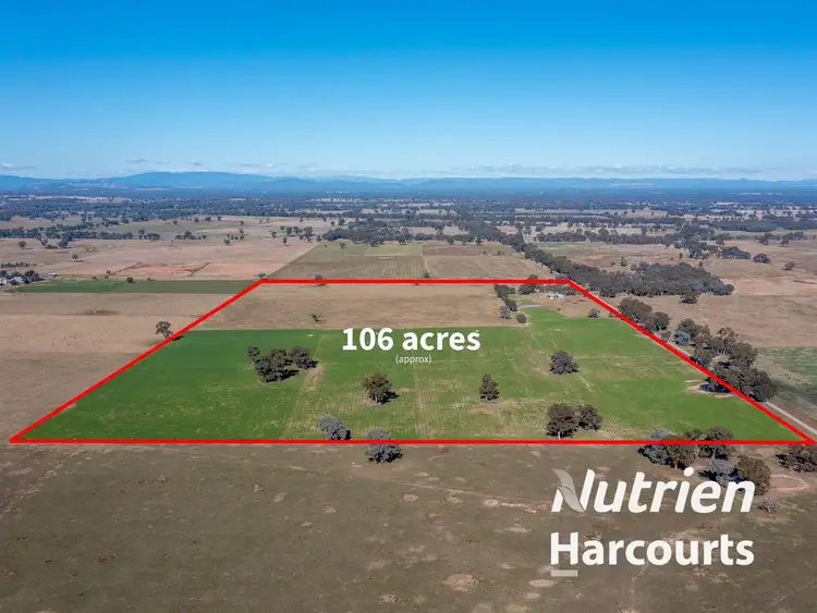 Main view of Homely rural property listing, 149 Pyle Road, Eldorado VIC 3746