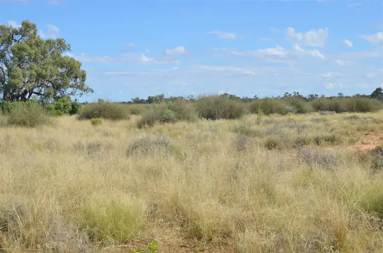 Seventh view of Homely rural property listing, Green Creek 68/70 Dowling Track, Bourke NSW 2840