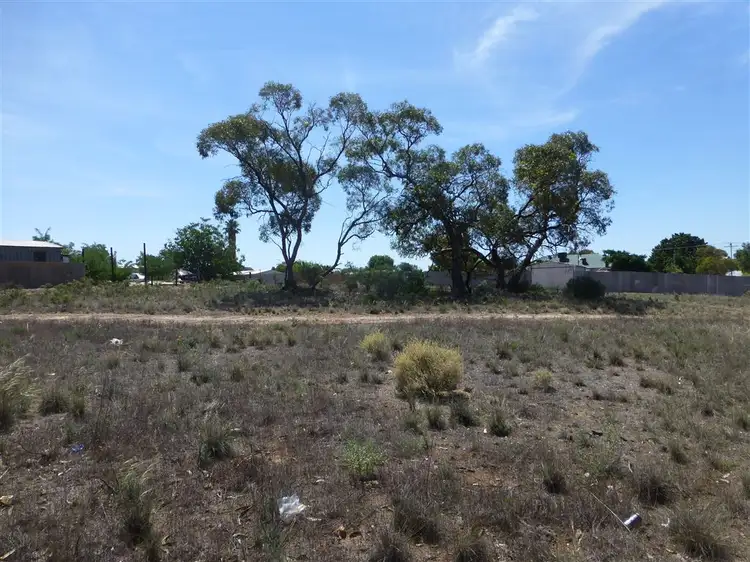 Main view of Homely land listing, Lts276&277 Queen Street, Peterborough SA 5422