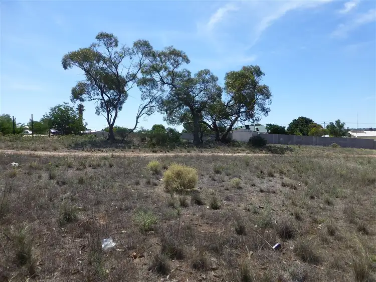 Third view of Homely land listing, Lts276&277 Queen Street, Peterborough SA 5422