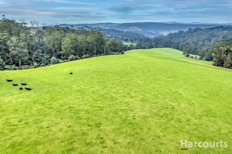 Fourth view of Homely rural property listing, 190 Rosatos Road, Moe South VIC 3825