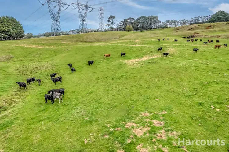 Seventh view of Homely rural property listing, 190 Rosatos Road, Moe South VIC 3825