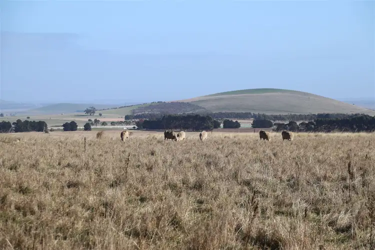 Main view of Homely rural property listing, 1065 Ullina - Kooroocheang Road, Smeaton VIC 3364