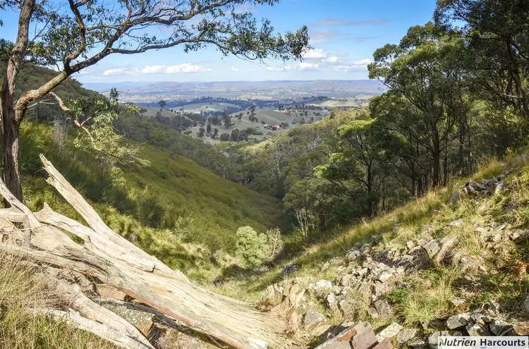 Second view of Homely rural property listing, 1135 Ghin Ghin Road, Yea VIC 3717