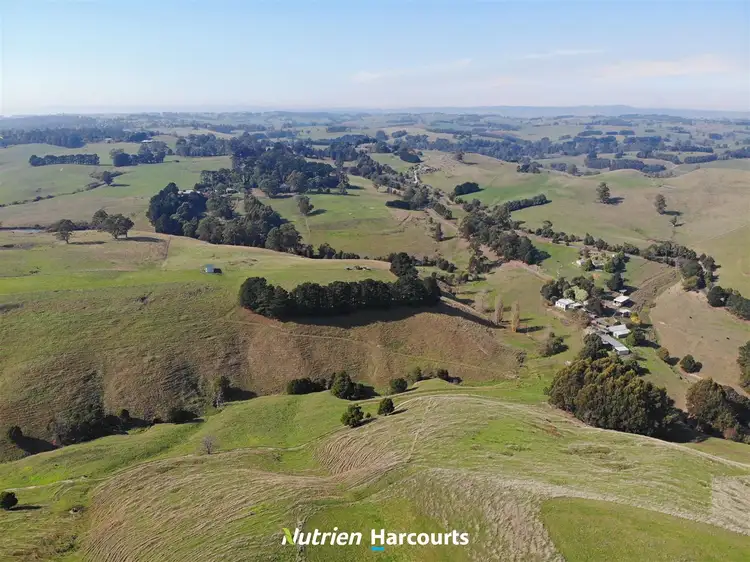 Seventh view of Homely house listing, 50 Retallacks Road, Mirboo North VIC 3871