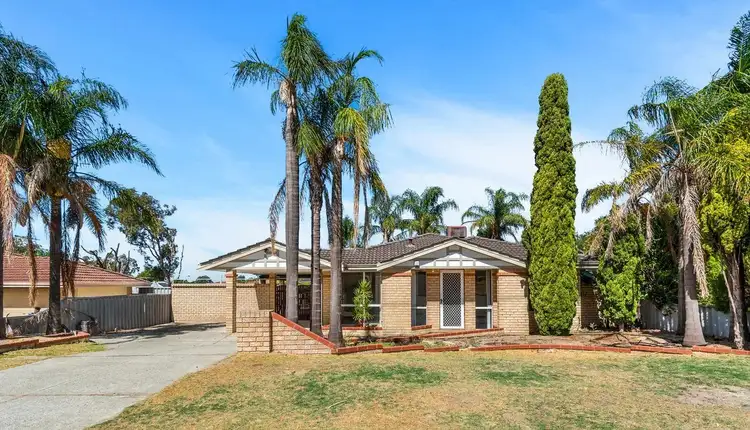 6 Allamanda Gardens, Mirrabooka WA 6061