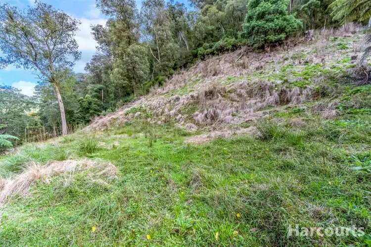 Fifth view of Homely land listing, 181 Main Road, Walhalla VIC 3825