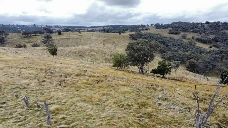 Fourth view of Homely rural property listing, Lot 203/174A Beechworth Road, Hargraves NSW 2850