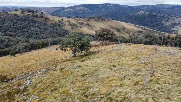 Fifth view of Homely rural property listing, Lot 203/174A Beechworth Road, Hargraves NSW 2850