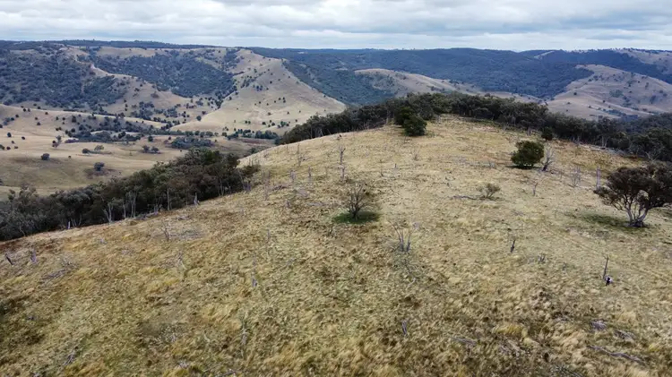 Seventh view of Homely rural property listing, Lot 203/174A Beechworth Road, Hargraves NSW 2850