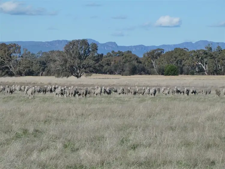 Fifth view of Homely rural property listing, . Grahams Bridge Road, Wonwondah VIC 3401