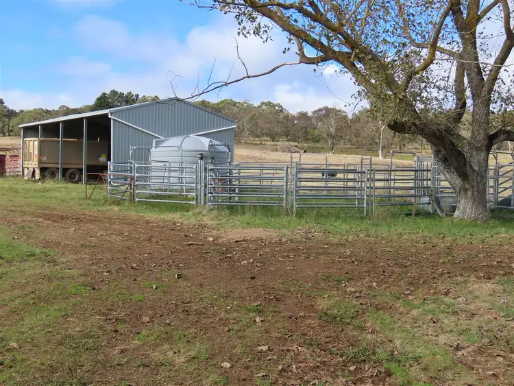 Fifth view of Homely rural property listing, 1574 Shannon Vale Road, Glen Innes NSW 2370