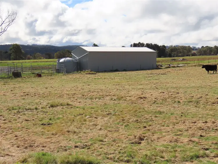 Seventh view of Homely rural property listing, 1574 Shannon Vale Road, Glen Innes NSW 2370