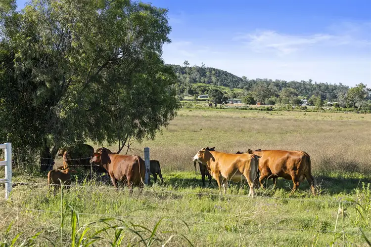 Main view of Homely rural property listing, Lot 2 Glencoe Yalangur Road, Gowrie Junction QLD 4352