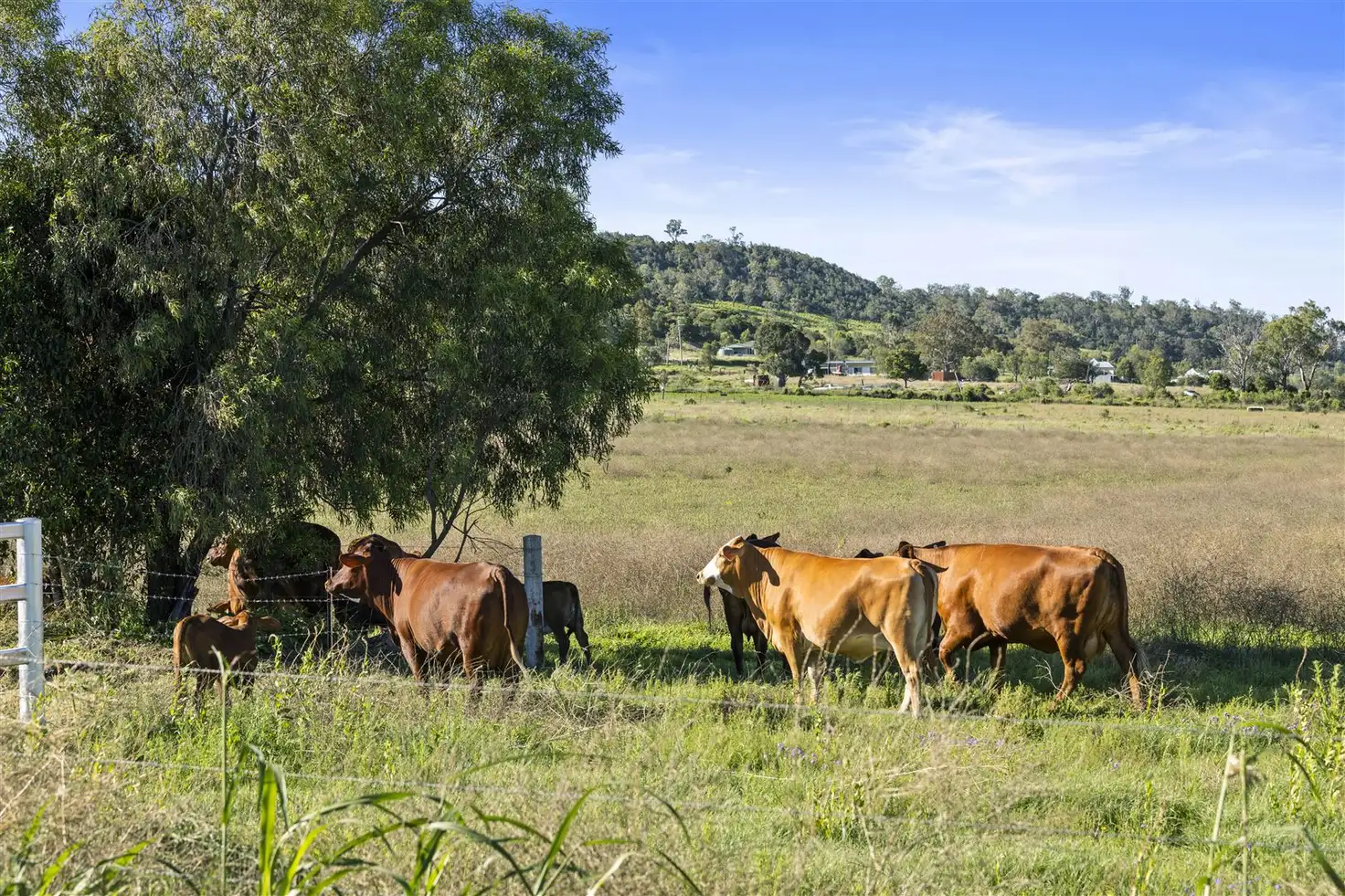 Main view of Homely rural property listing, Lot 2 Glencoe Yalangur Road, Gowrie Junction QLD 4352