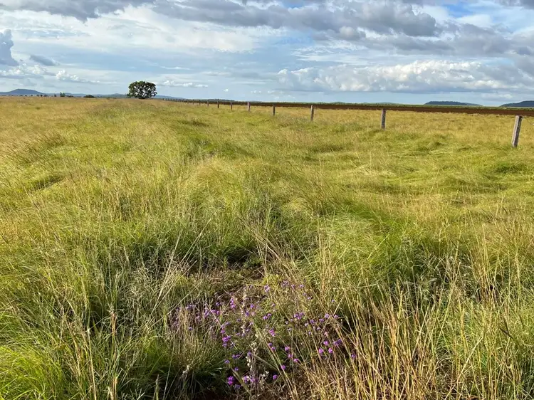 Seventh view of Homely rural property listing, Lot 1 Corner of Grimes and Spring Creek Rd, Clifton QLD 4361