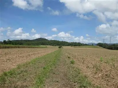 Seventh view of Homely rural property listing, 0 El Arish-Mission Beach Road, Maria Creeks QLD 4855