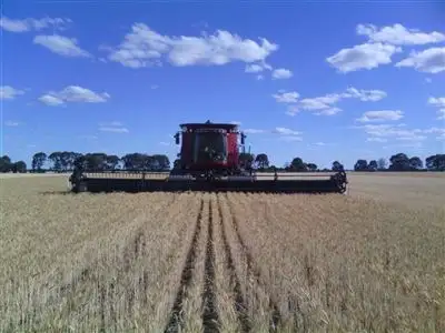 Fourth view of Homely rural property listing, 1340 Yulabilla Rd, Condamine QLD 4416