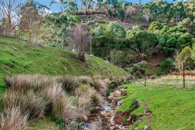 Fifth view of Homely rural property listing, 163 Cudlee Creek Road, Cudlee Creek SA 5232